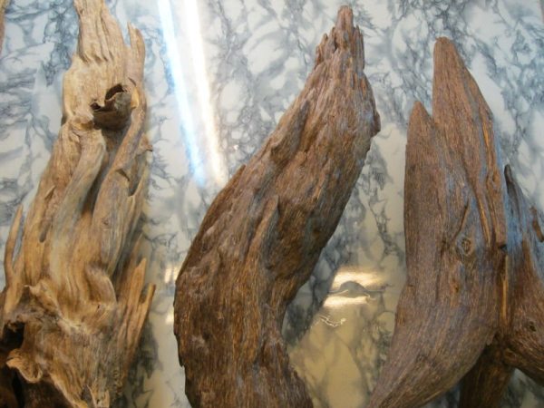 natural agarwood